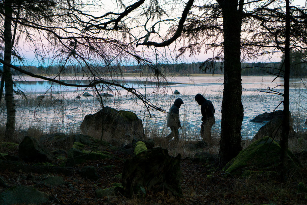 Sunrise in the forest at Stenbo